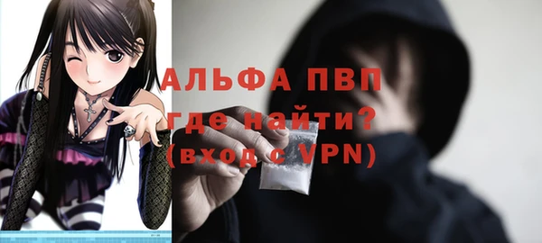 гидра Корсаков