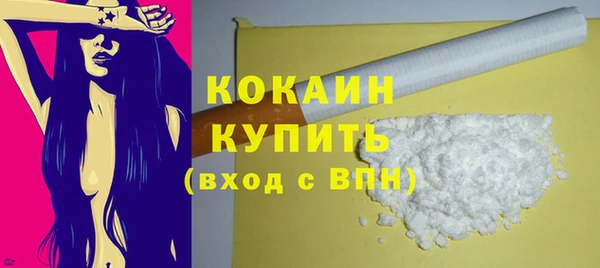 гидра Корсаков