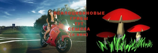 таблы Кодинск