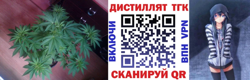 МЕГА как зайти  Коммунар  Дистиллят ТГК THC oil 