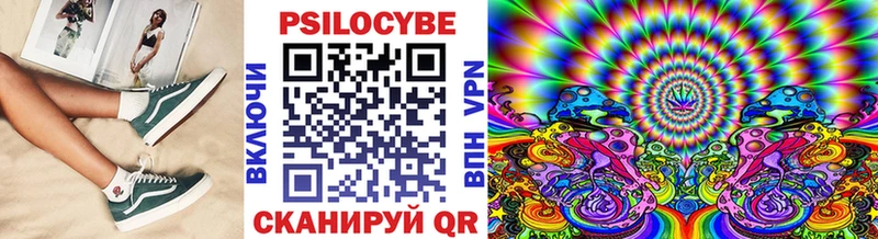 что такое Коммунар Галлюциногенные грибы Cubensis