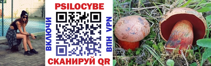 Псилоцибиновые грибы Psilocybine cubensis Коммунар